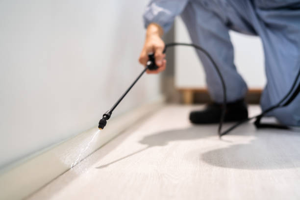 Bed Bug Pre-Treatment Preparation Assessment in Ephraim