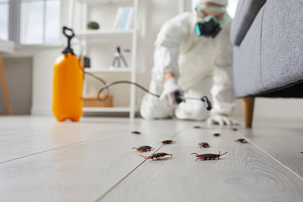 Post-Treatment Bed Bug Interceptor Monitoring in Ephraim