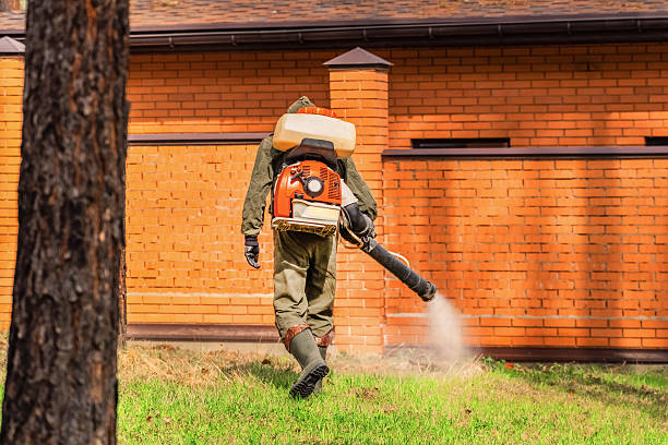 Bed Bug Clearance Verification and Documentation in Ephraim
